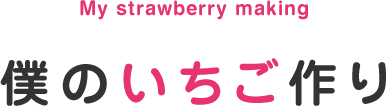 僕のいちご作り