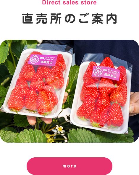 直売所のご案内