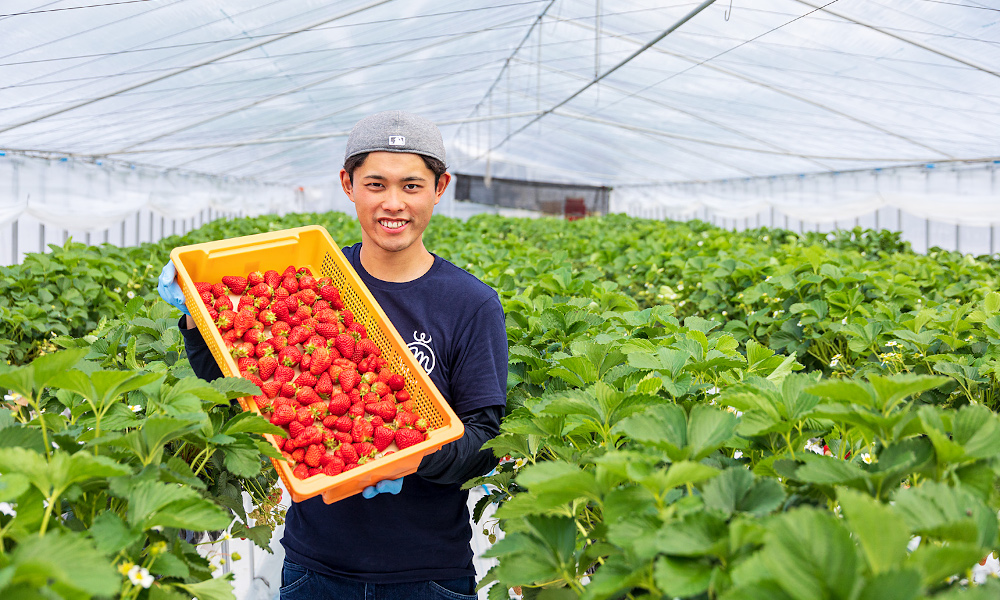 m Berry Farm代表野尻麻央